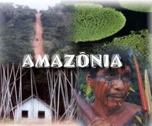 amazonia2